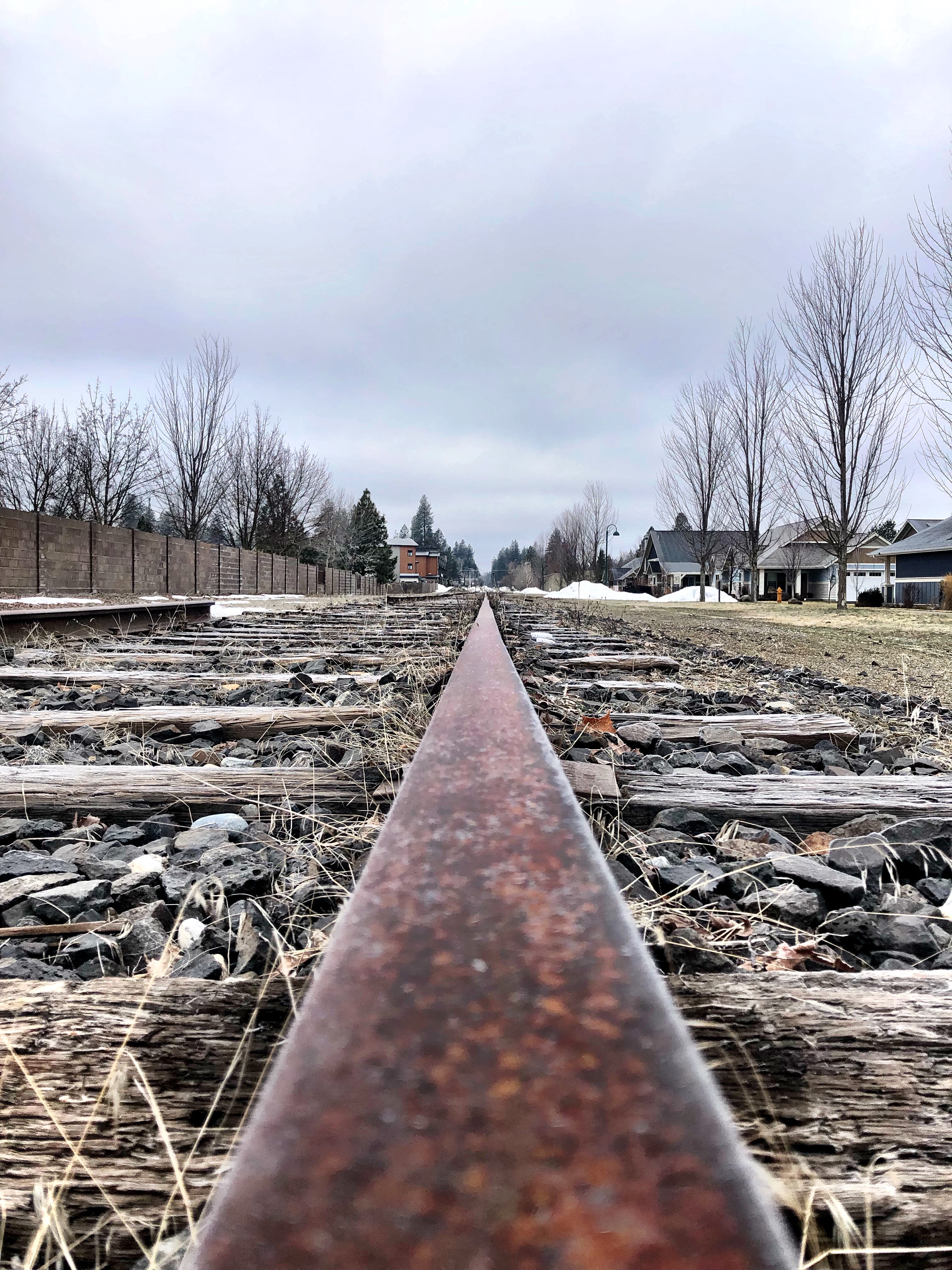 Lakeside scenery at Coeur d'Alene